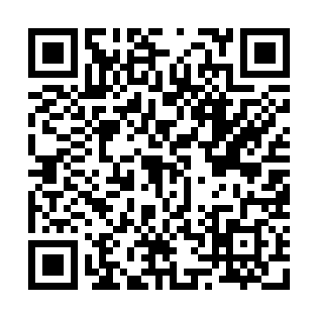 QR code for B653383