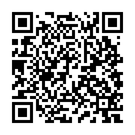 QR code for B66313