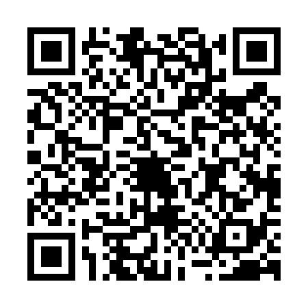 QR code for B704385