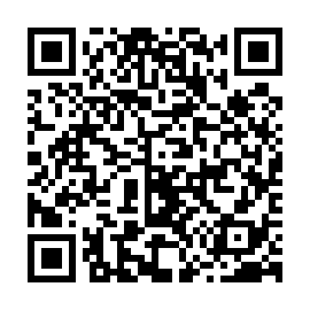QR code for B73538