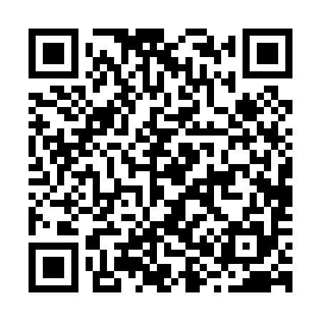 QR code for B80095