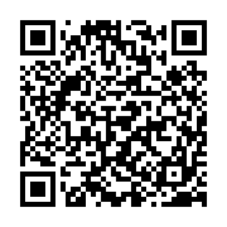 QR code for B81217
