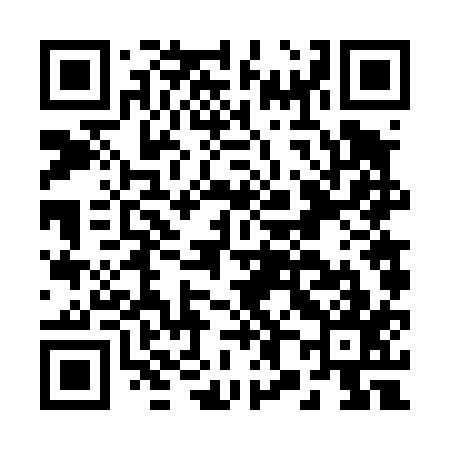 QR code for B86417
