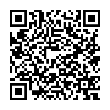 QR code for B919354