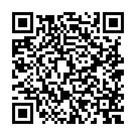 QR code for B919868