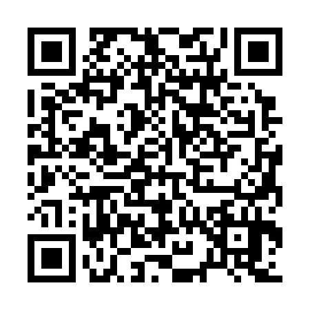 QR code for B933347