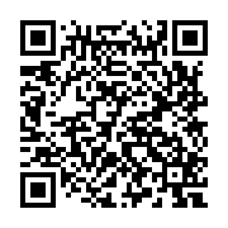 QR code for B93905
