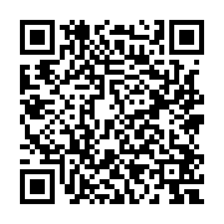 QR code for B991425