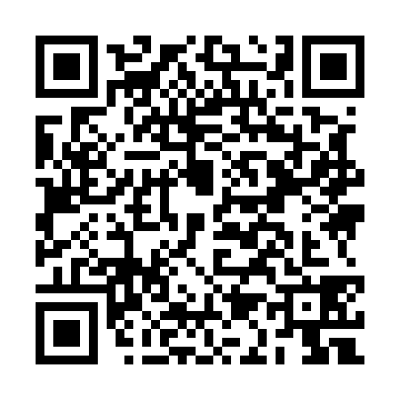 QR code for BA95381