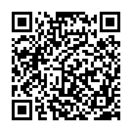 QR code for BAG256