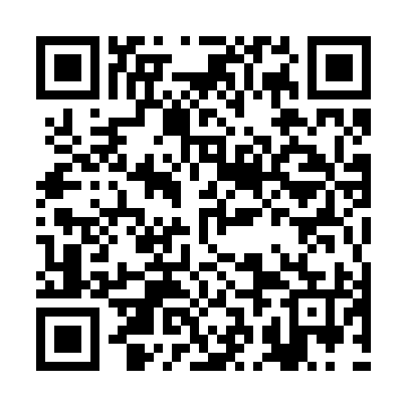 QR code for BBM295