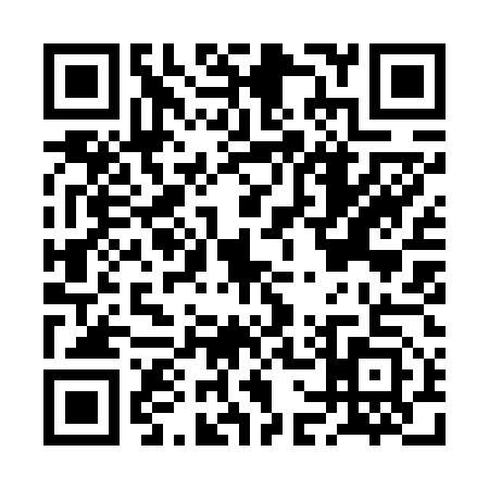 QR code for BG96533