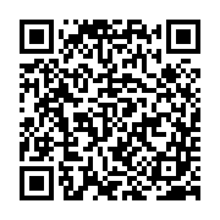 QR code for BI3843