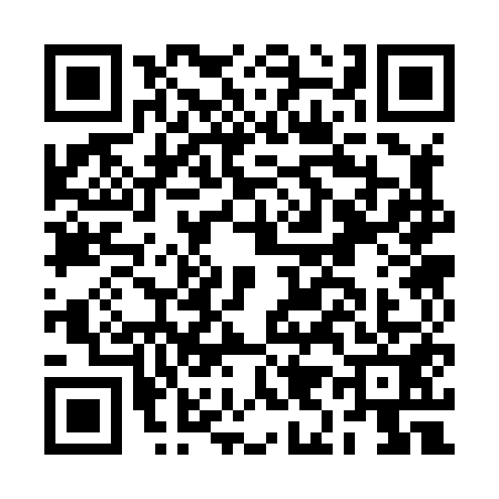 QR code for BI38510