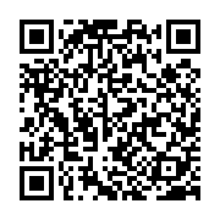 QR code for BI6509