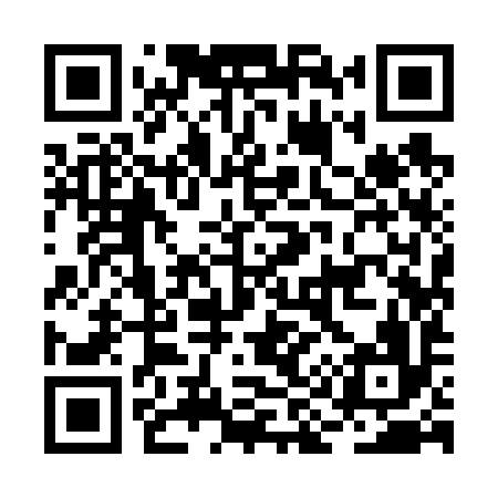 QR code for BI9696
