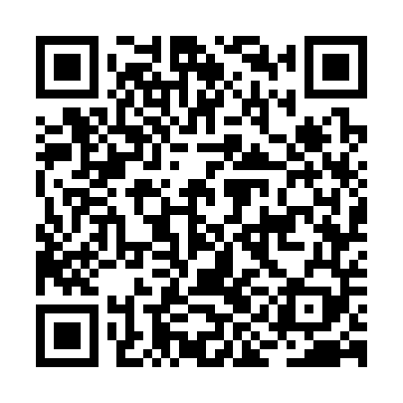 QR code for BIG349