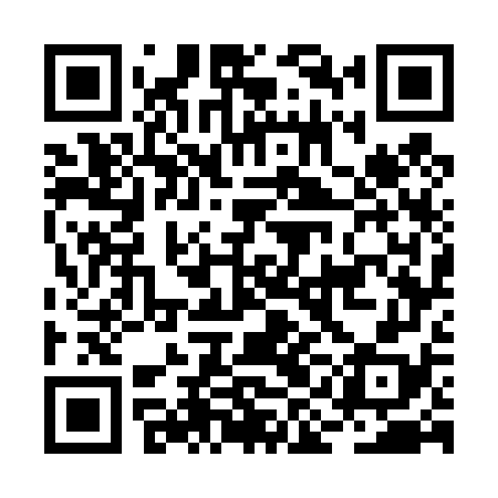 QR code for BIG478