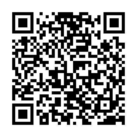 QR code for BJI333