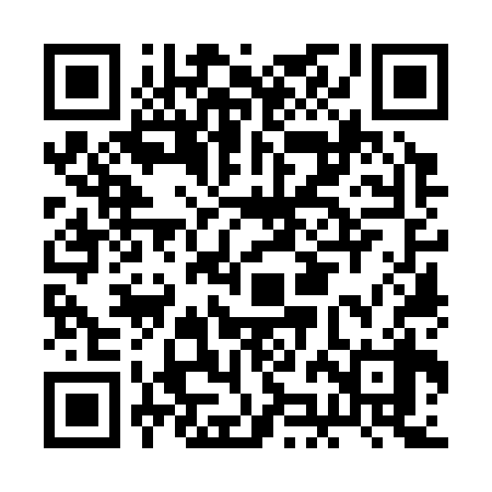 QR code for BJO338