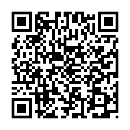 QR code for BL46111