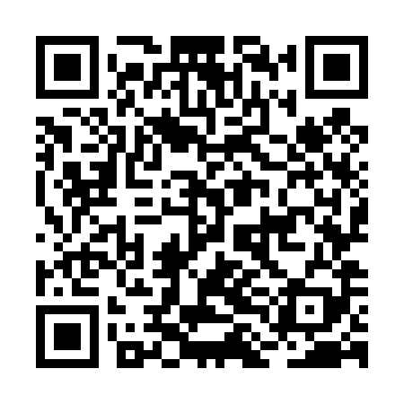 QR code for BLO489
