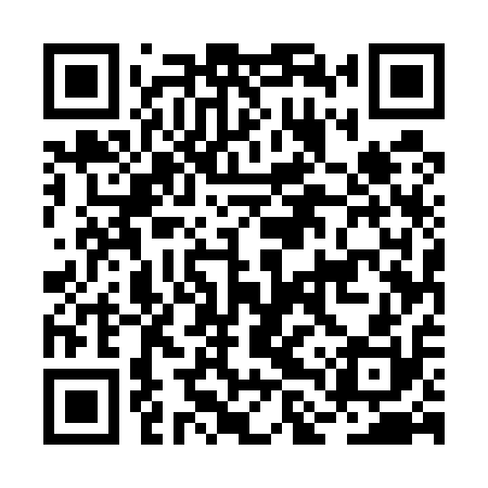 QR code for BLU510