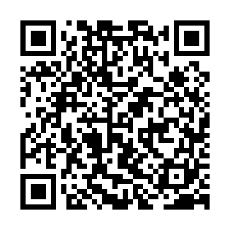QR code for BLV161