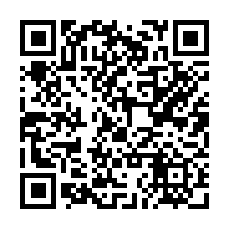 QR code for BNP379