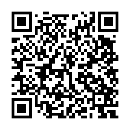 QR code for BOR407