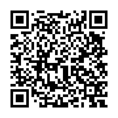 QR code for BOR476