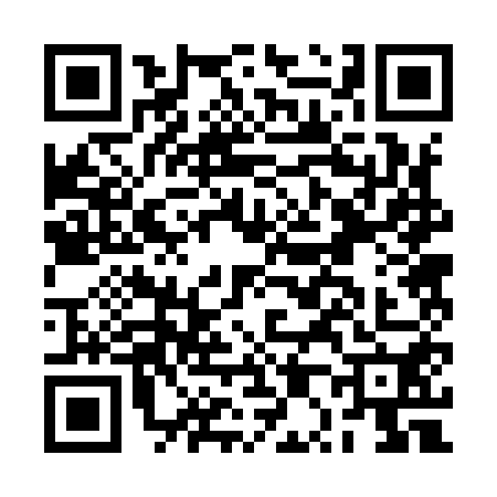 QR code for BP29507
