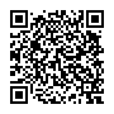 QR code for BRC493