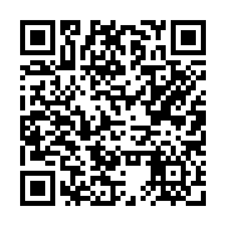 QR code for BUT386