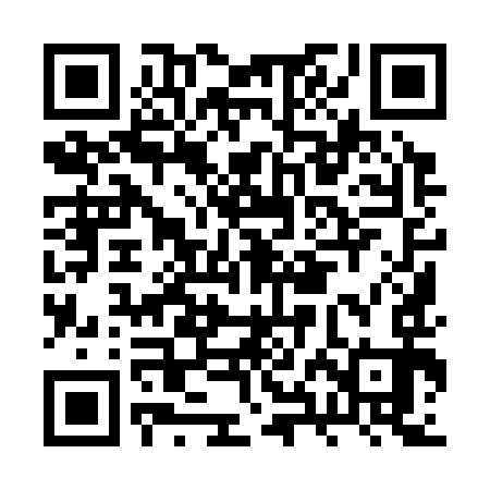 QR code for BXI393