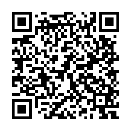 QR code for BZ0541