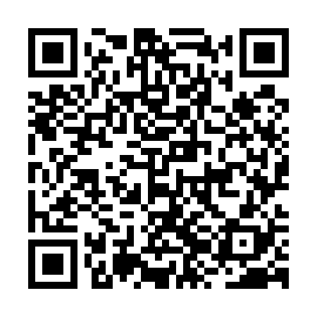 QR code for BZO528