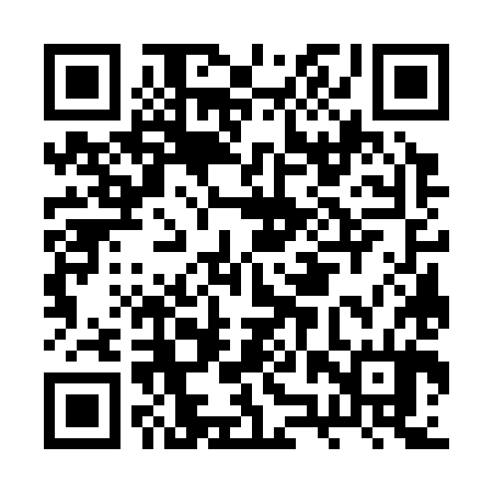 QR code for BZW384