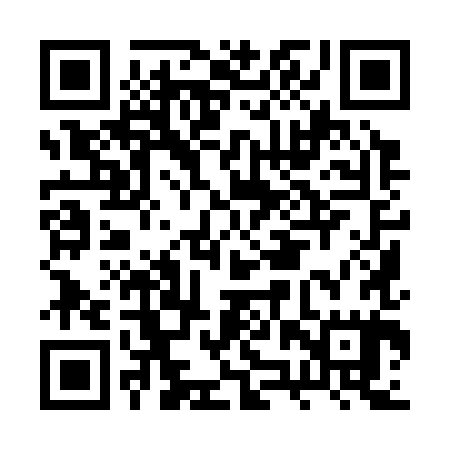 QR code for BZY385