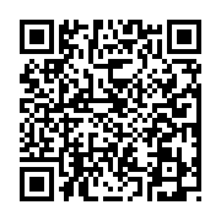 QR code for C078397