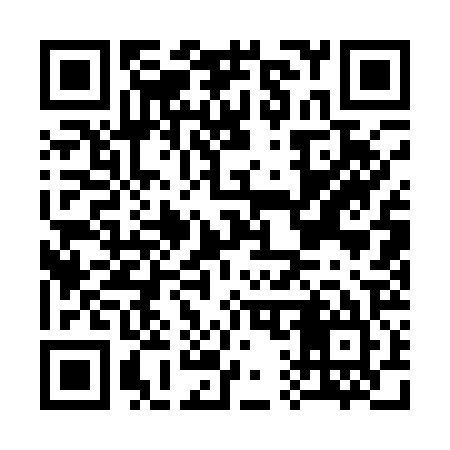 QR code for C11125