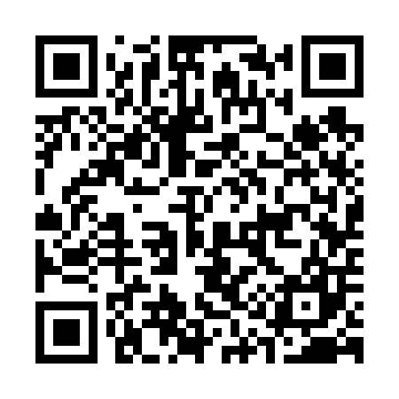 QR code for C13607