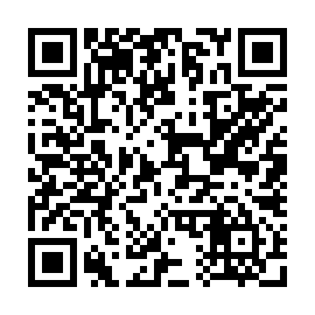 QR code for C17295