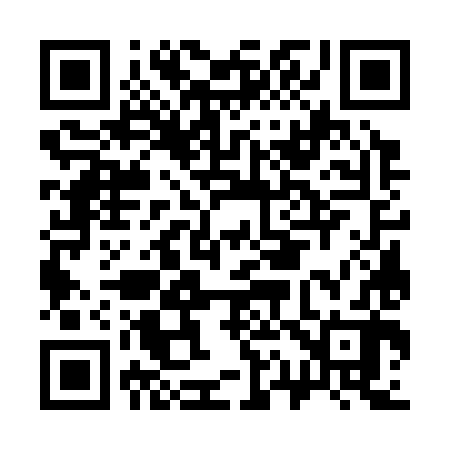 QR code for C17382
