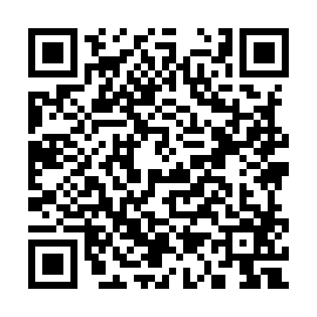 QR code for C199868