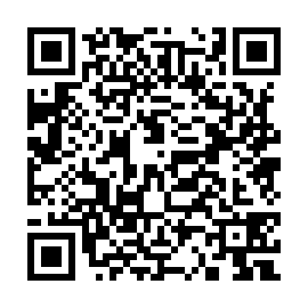 QR code for C209386
