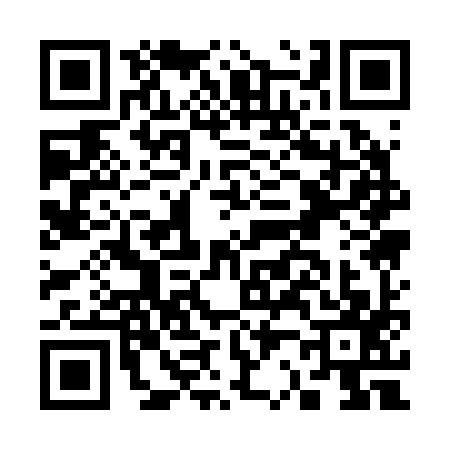 QR code for C212979