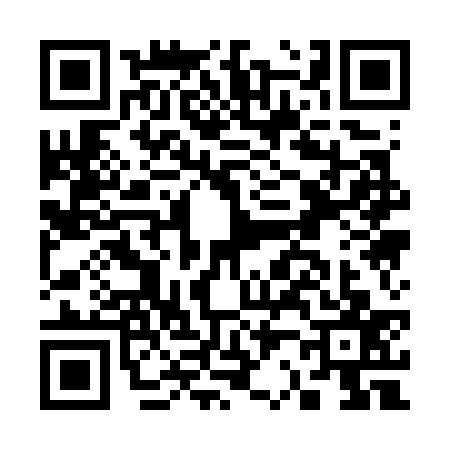 QR code for C217378