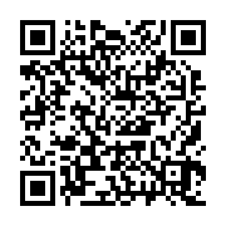 QR code for C29222