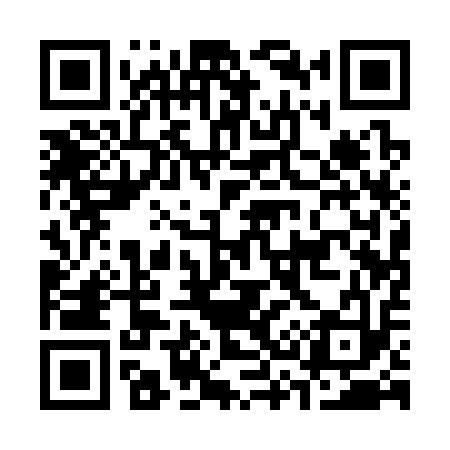 QR code for C31313
